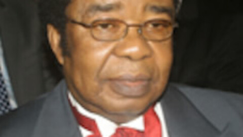 AKINYEMI, Prof. Bolaji Akinwande